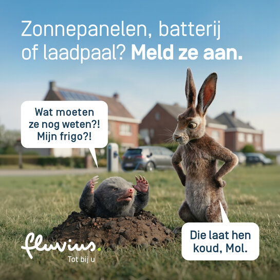 Waarom bepaalde toestellen aanmelden belangrijk is Mol en haas in een woonwijk met zonnepanelen en laadpaal; mol vraagt of een frigo ook aangemeld moet worden en haas legt uit dat huishoudtoestellen geen impact hebben op het elektriciteitsnet