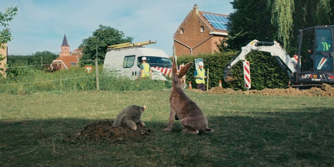 Waarom we overal werken Mol en haas in conversatie