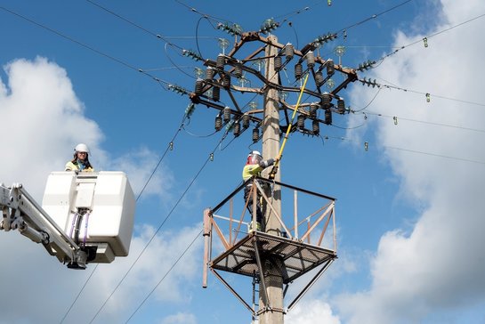 Fluvius-medewerker in kraaiennest schakelt met stok, collega in hoogwerker houdt oogje in het zeil