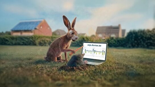 Voordeel digitale meter: Hou je verbruik in de gaten Illustratie van een haas en een mol die samen naar een laptop kijken met een verbruiksdiagram op mijn.fluvius.be.